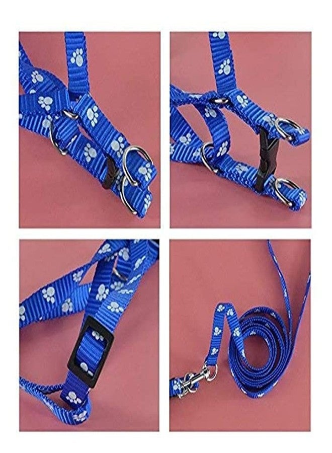 Pups&Pets Pet Combo Puppy Paw Print Harness Leash Set for Small Dog and Puppies (Blue) - Image 2